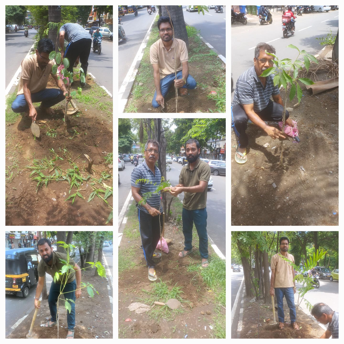 Tree Plantation Drive - 200 Trees - Kamothe - June 2024